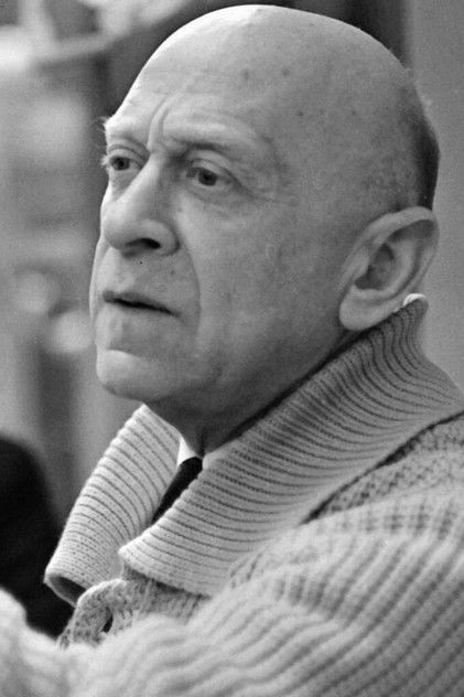 Владимир Рапопорт