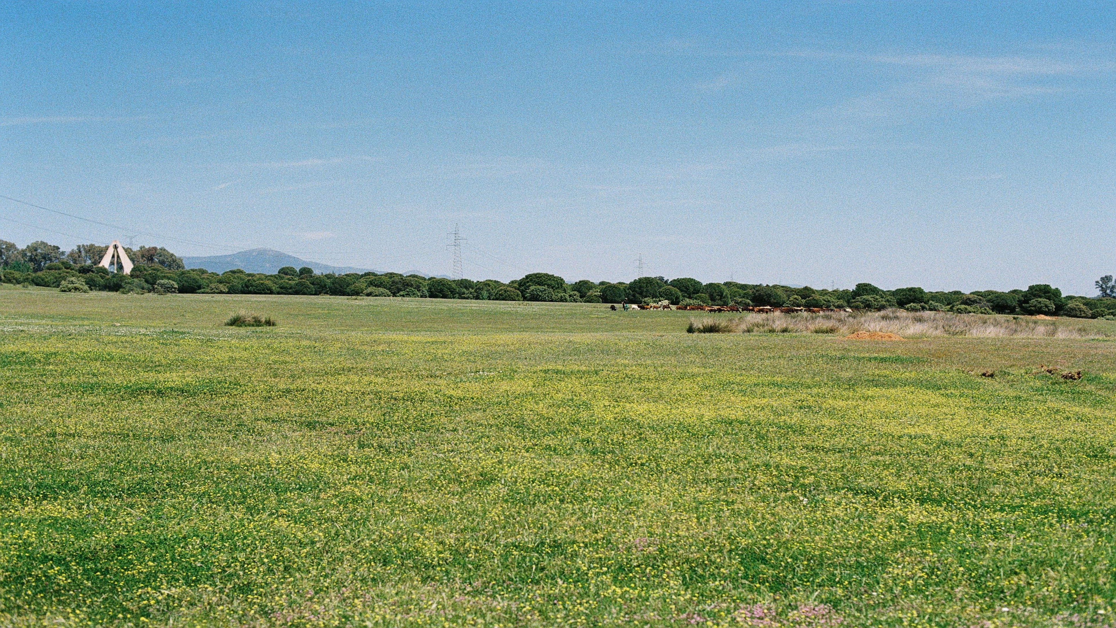 Bronson Entertainment