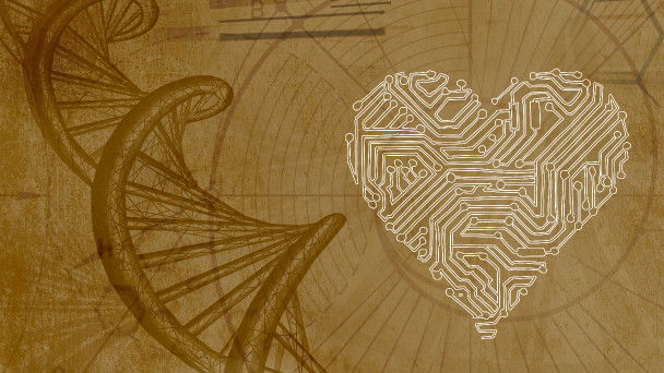 The Honeymoon Effect