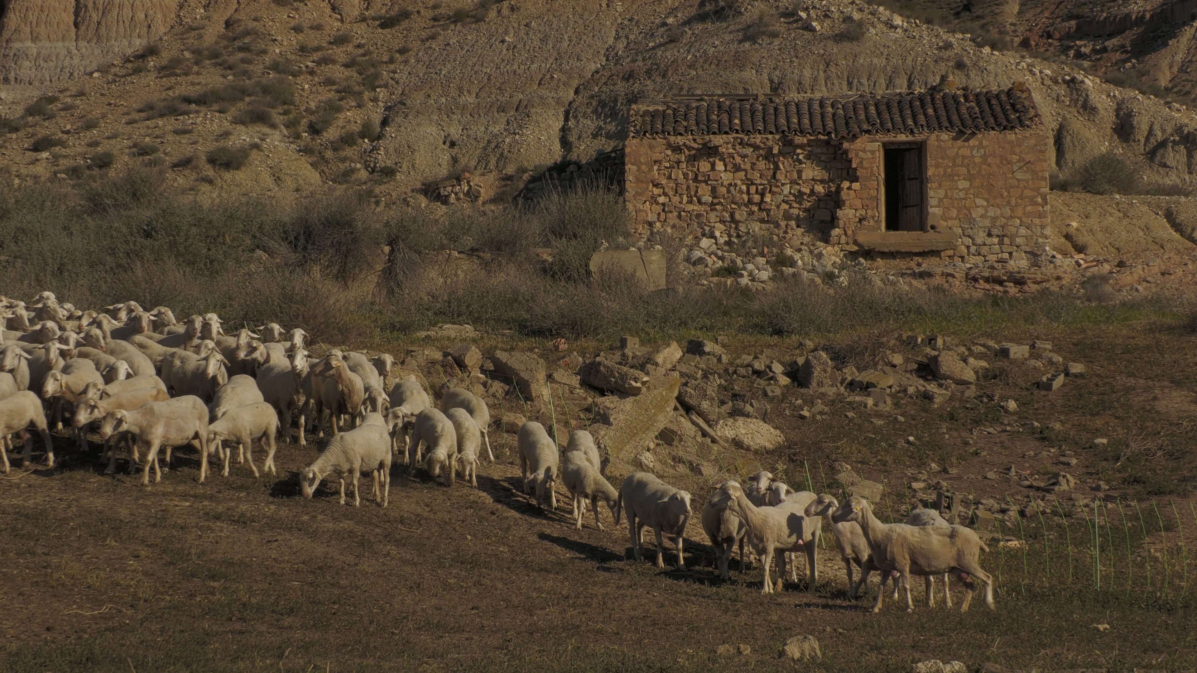 Rubén García Fernández