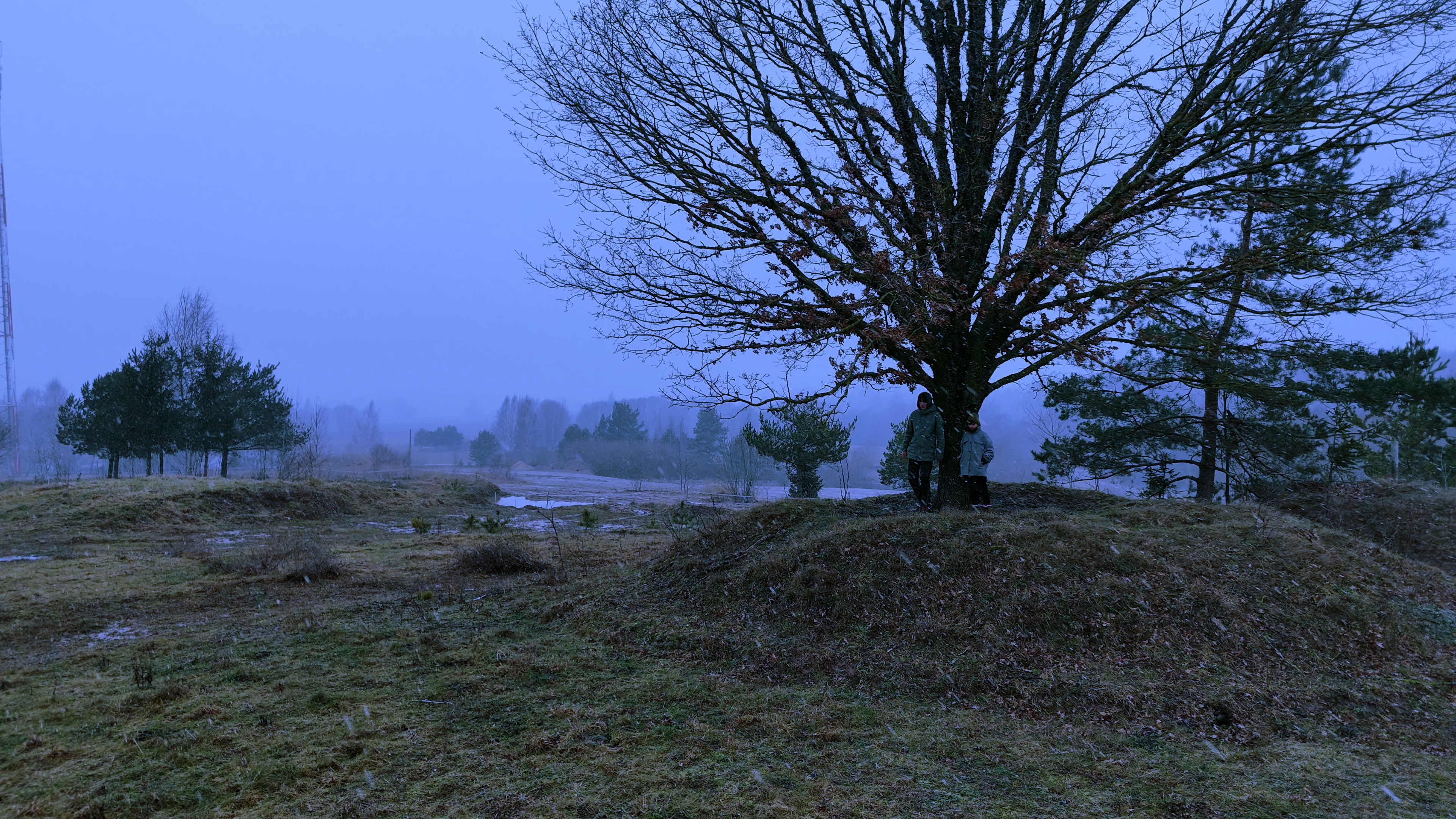 Teodors Miķelsons- Germs