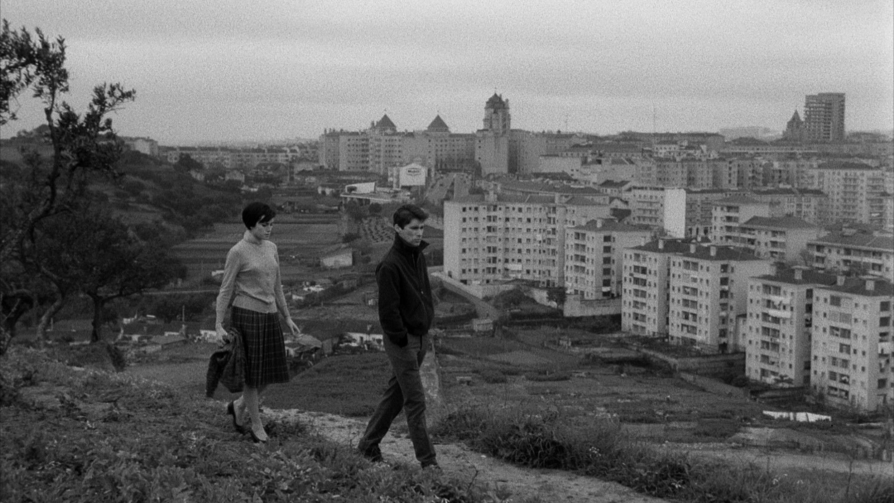 Fernando Matos Silva