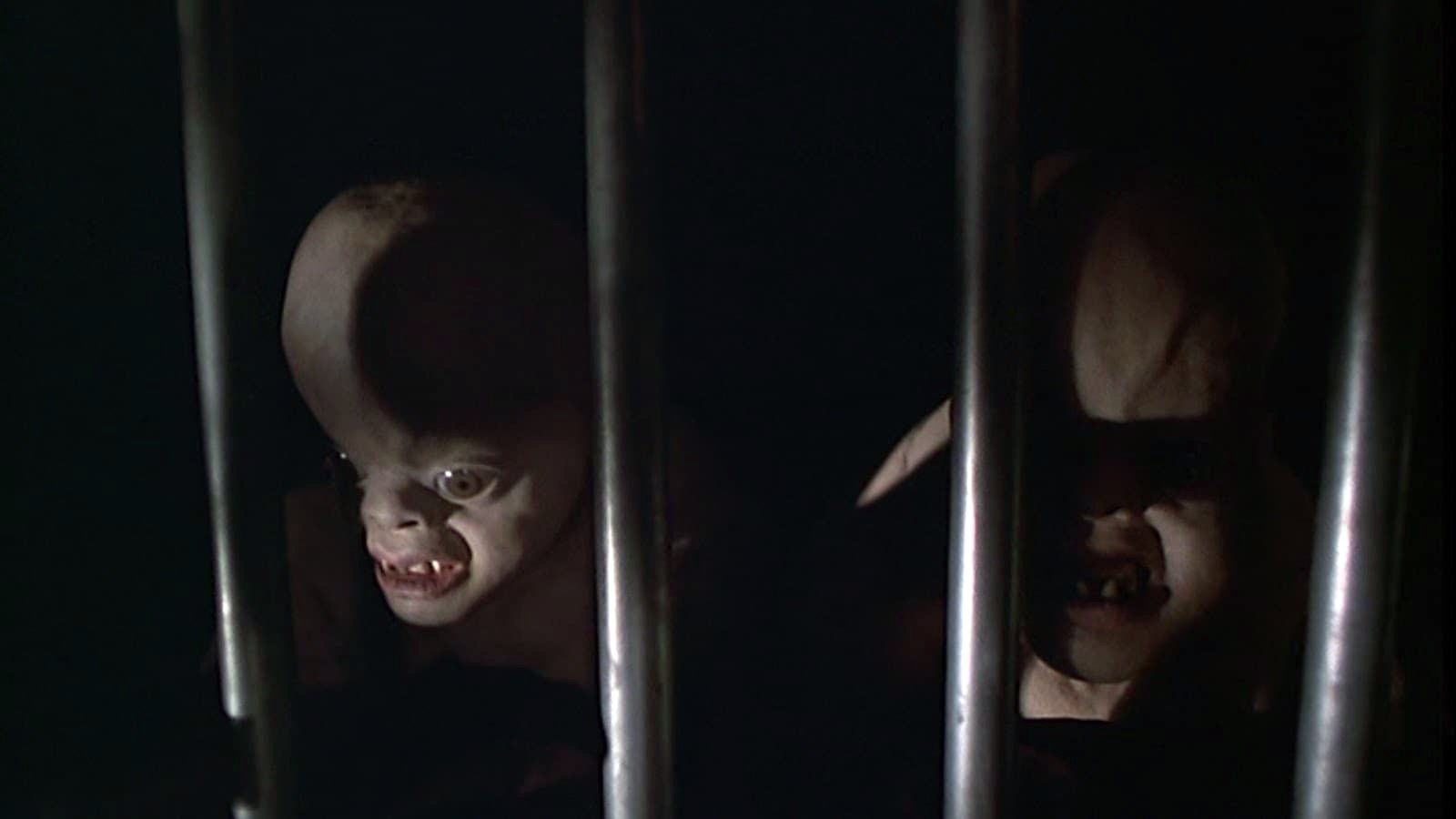 Kannibál bébi gyűjtemény