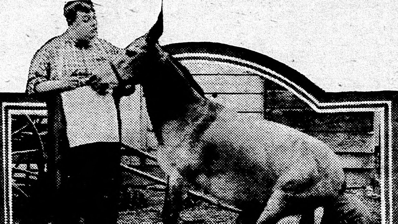 Joseph Anthony Roach