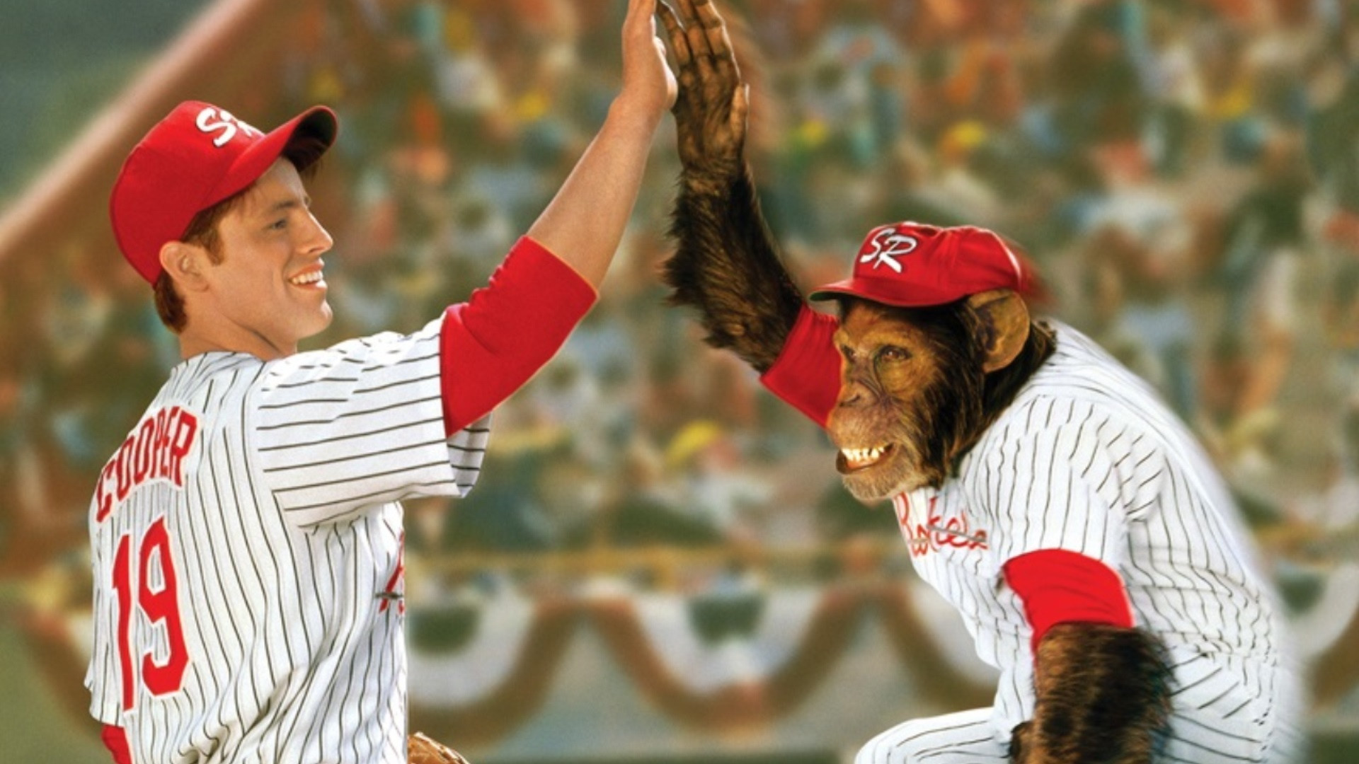 Ed - Madarat tolláról