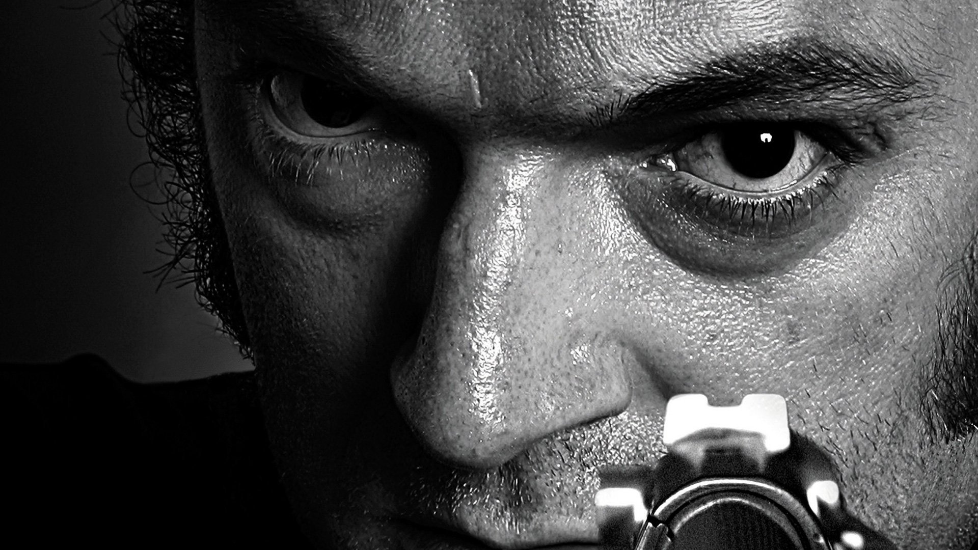 The Mesrine Collection