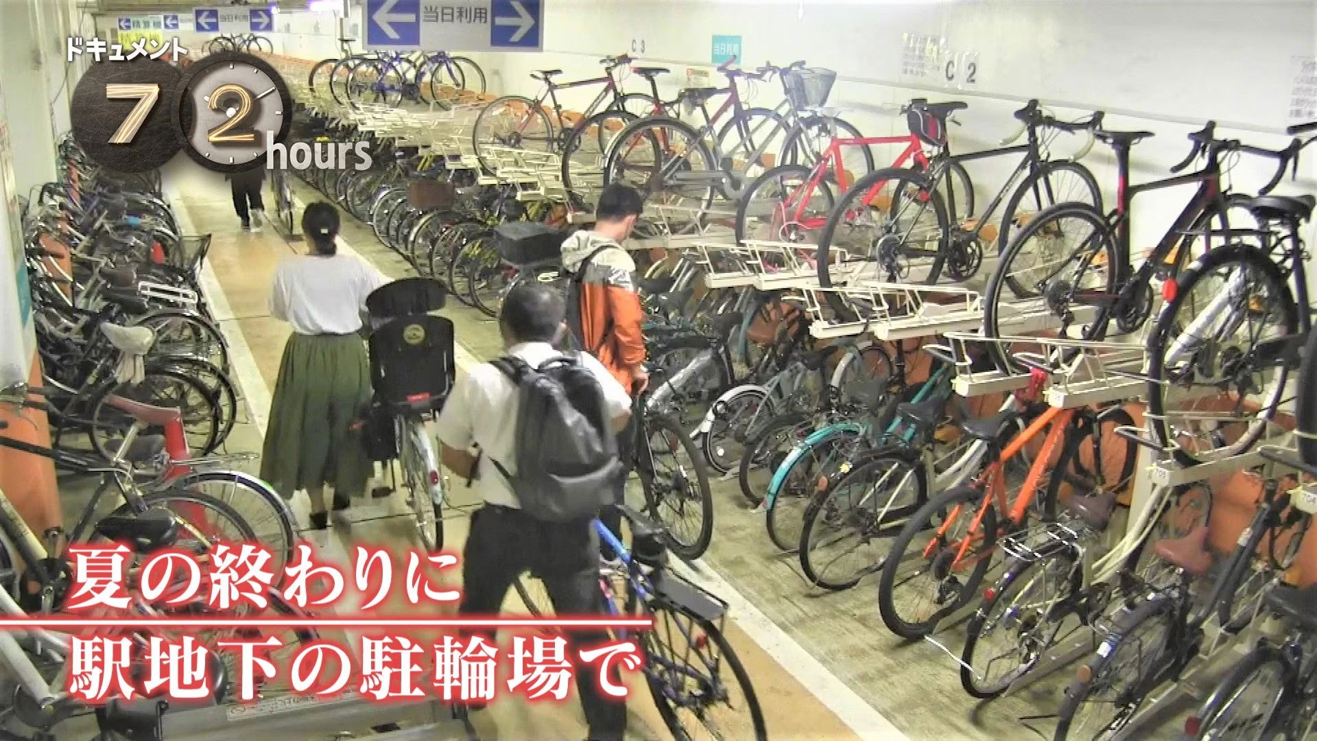 At the End of Summer, in the Station Underground Bicycle Parking Lot