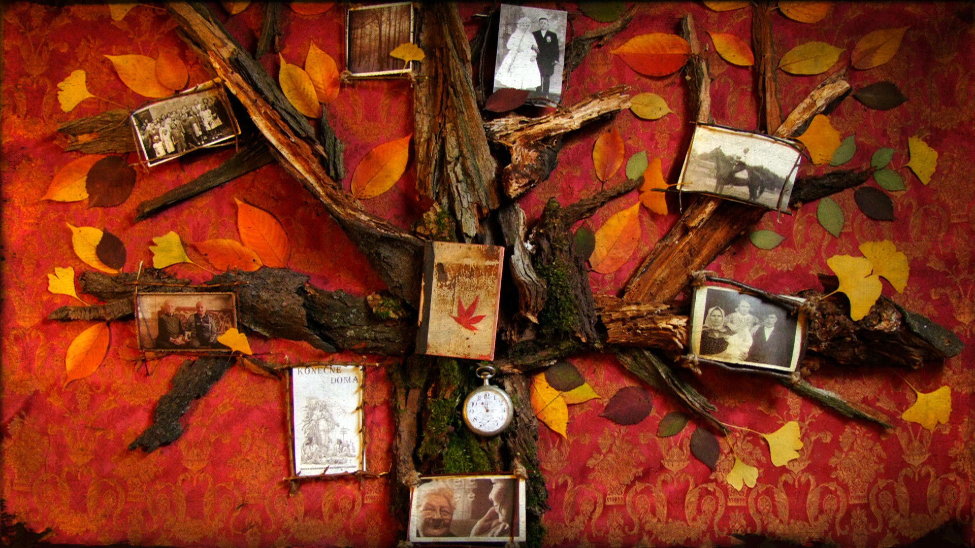 Vladislava Plančíková