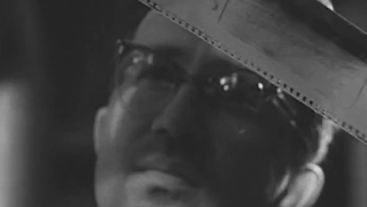 Propane Bubble Chambers at the Joint Institute for Nuclear Research