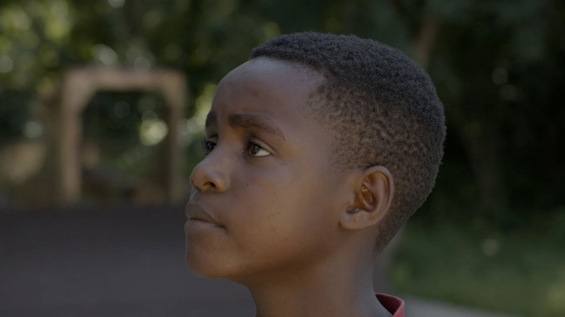 Dreams of a Revolution