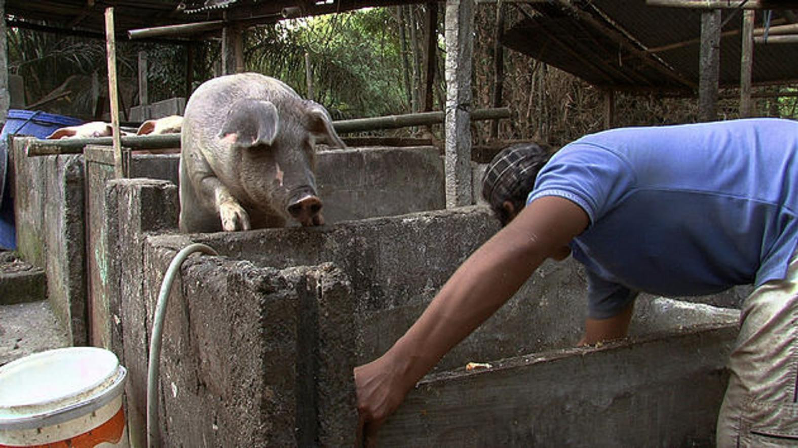Kurnia Yudha Fitranto