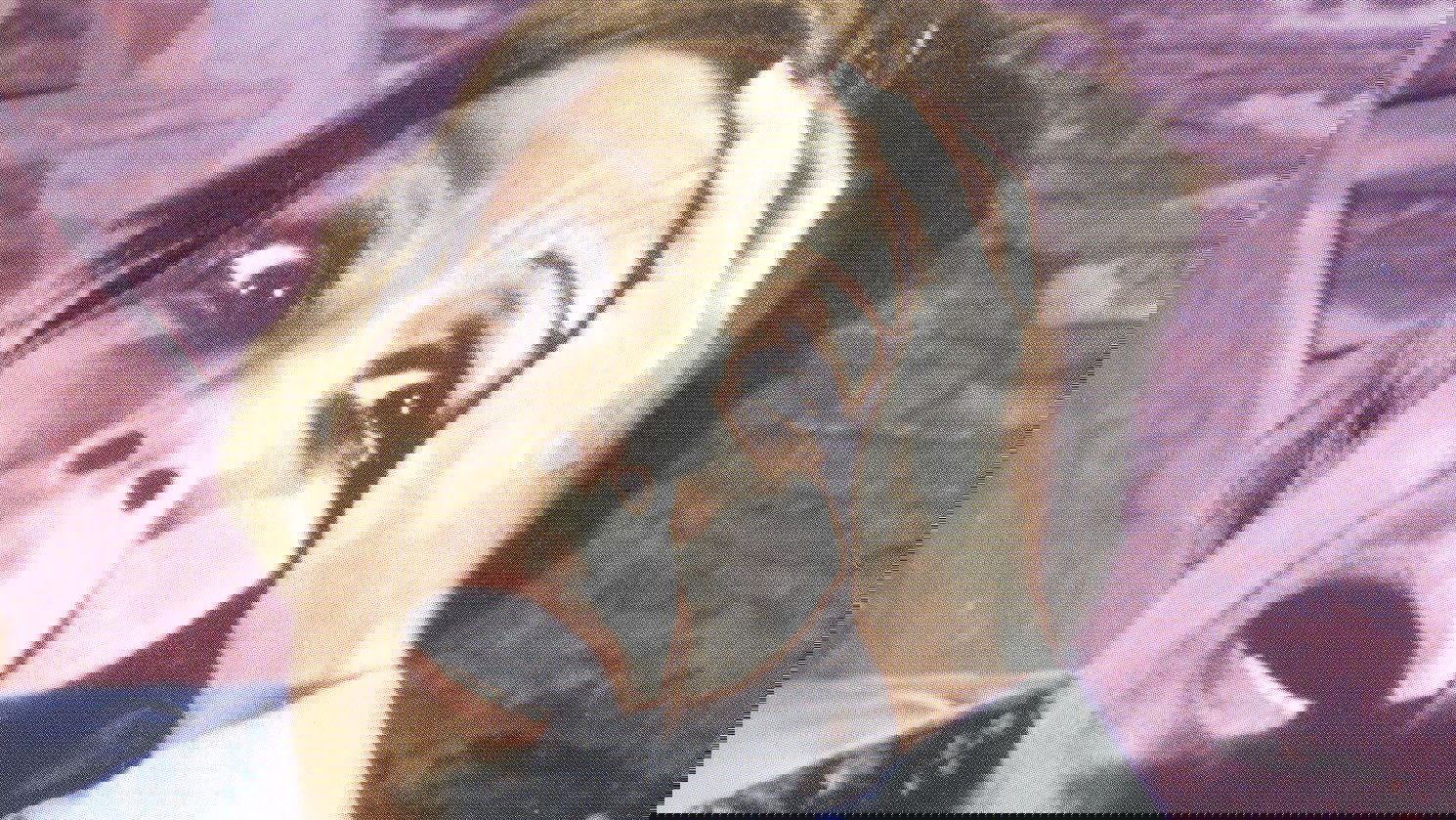 Don't Look in the Basement