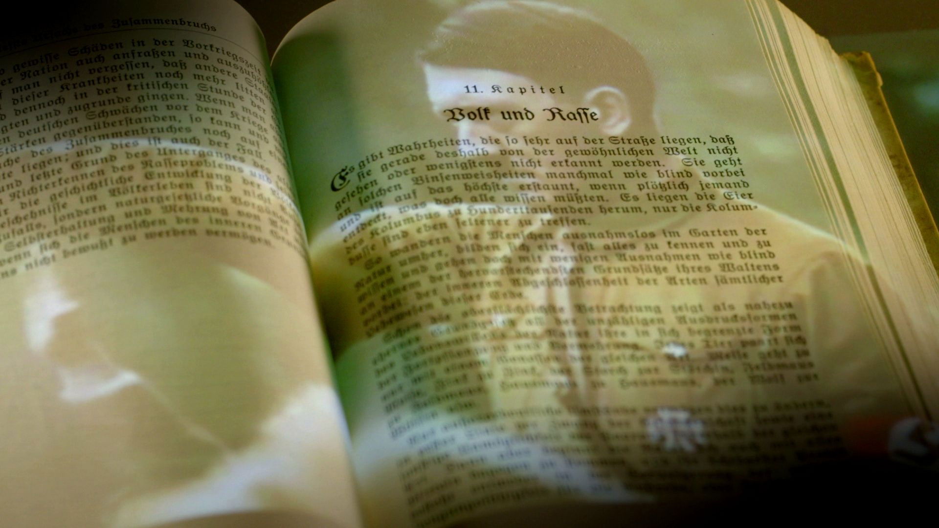 Mein Kampf - Én harcom