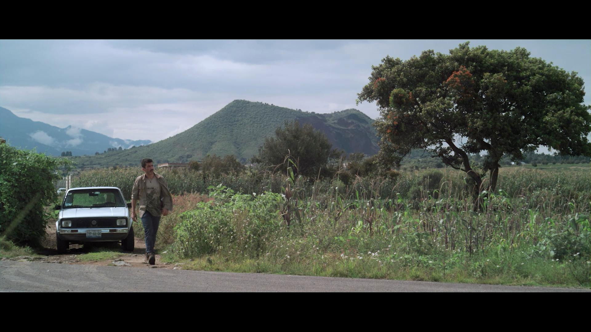 The Opposite Of Death