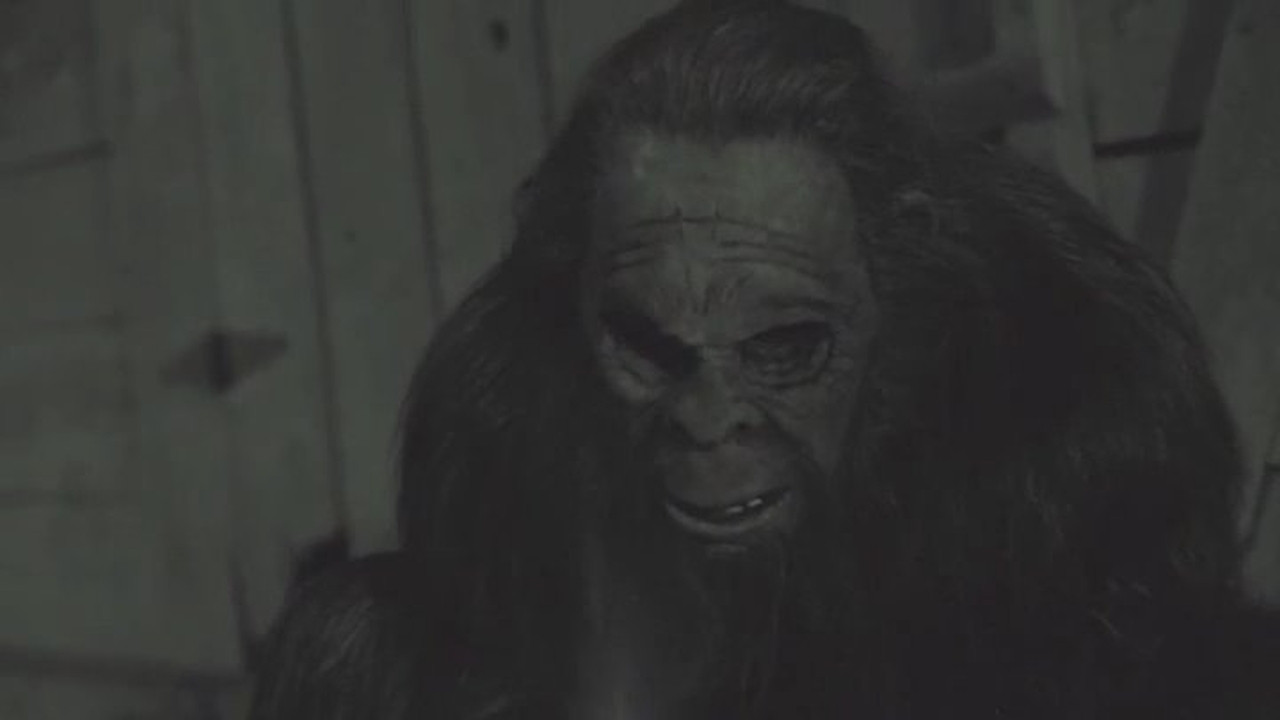 Something in the Woods