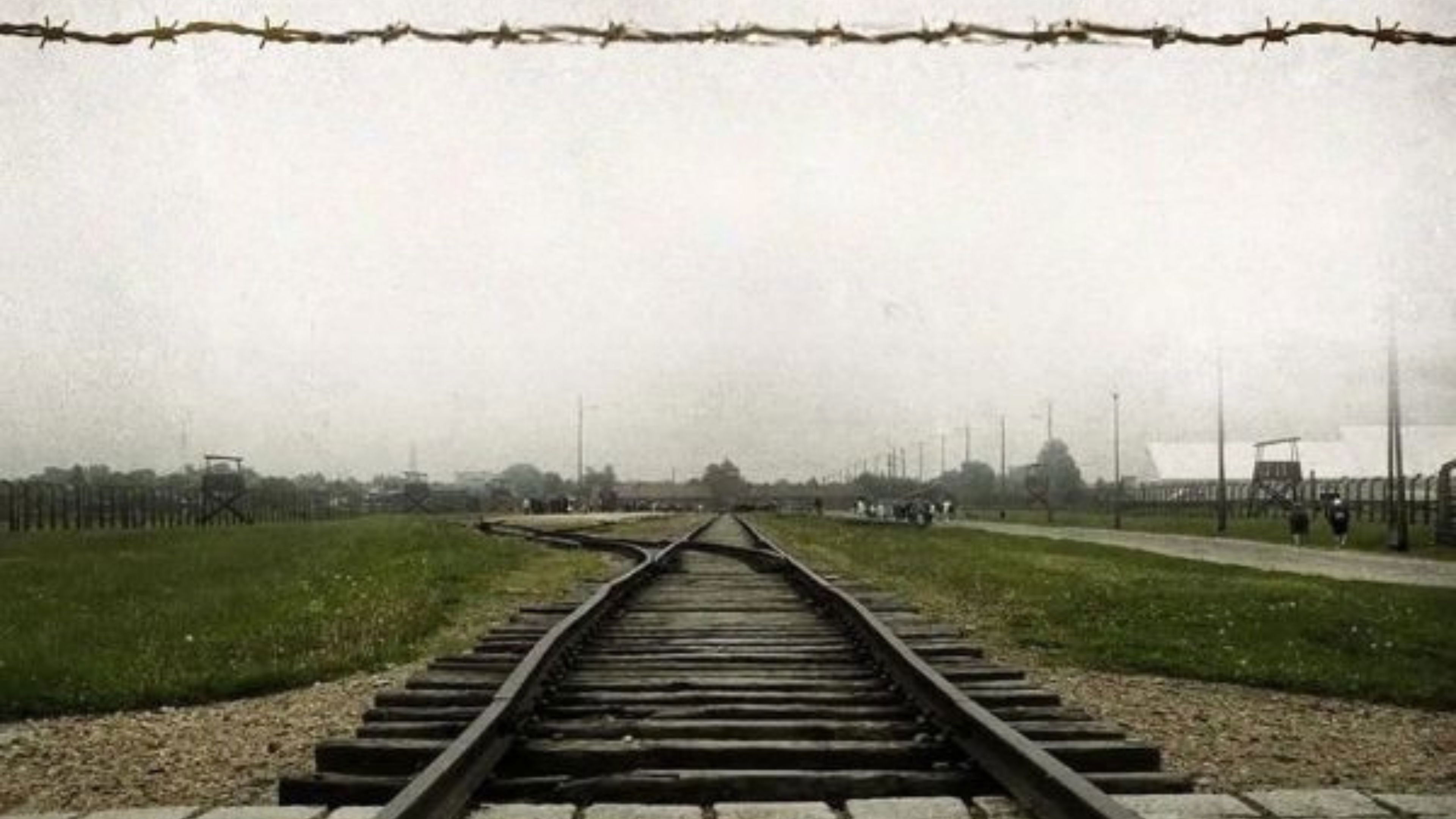 Beyond Freedom — The Life of Viktor Frankl