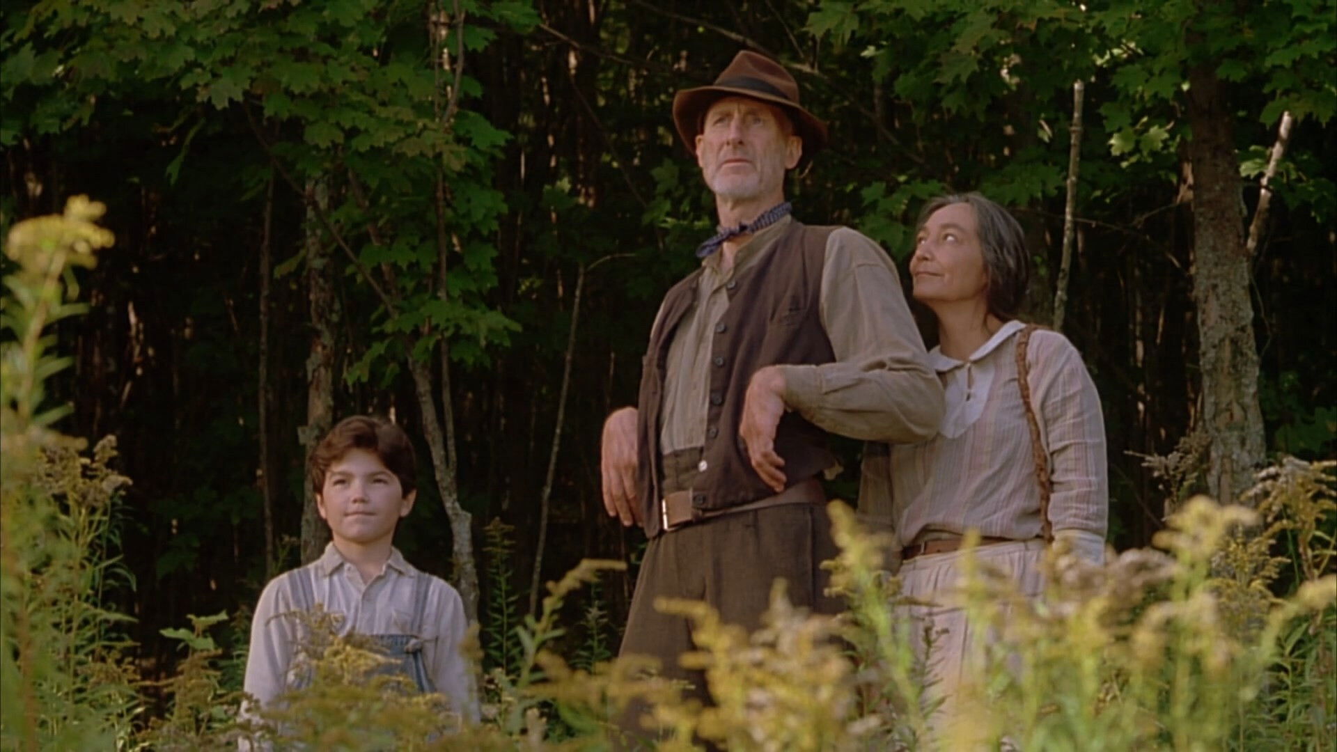 Kicsi Fa az indiánok között