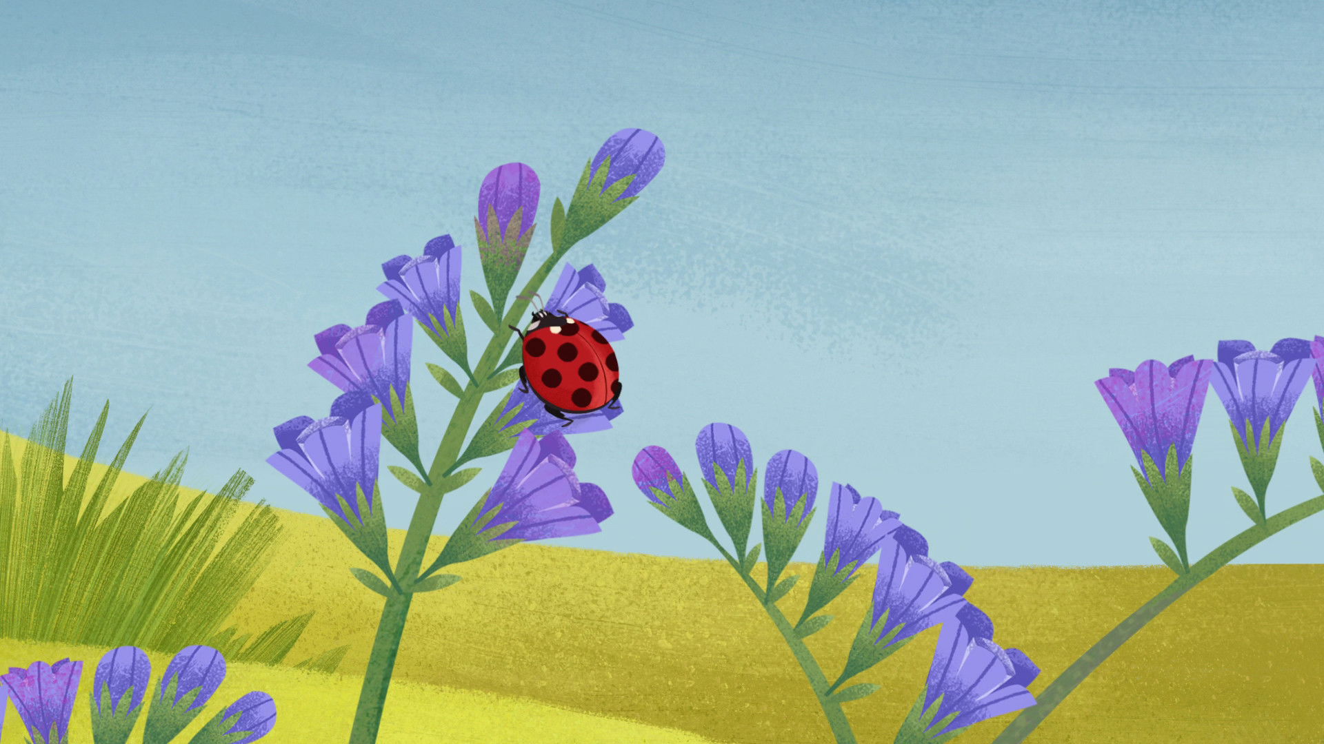 Spot the Ladybird