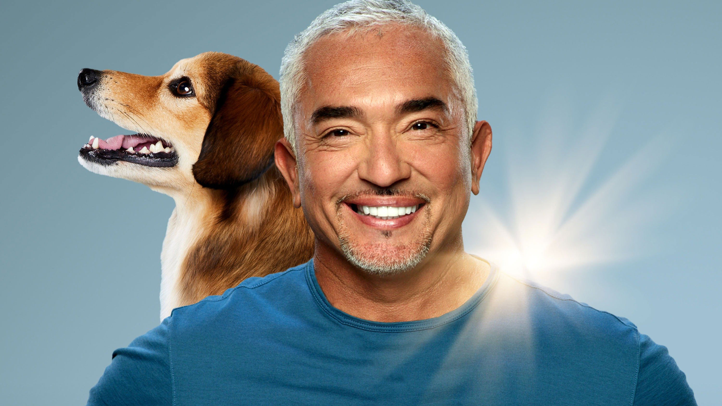 Cesar Millan: Jó gazdi, jó kutya