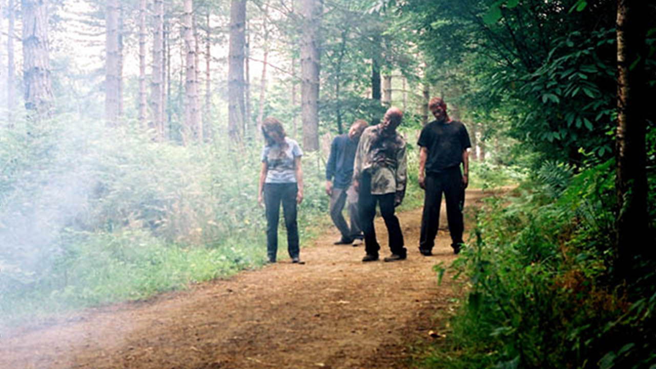 The Zombie Diaries Collection