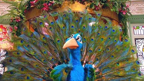 The Fabulous Feathers