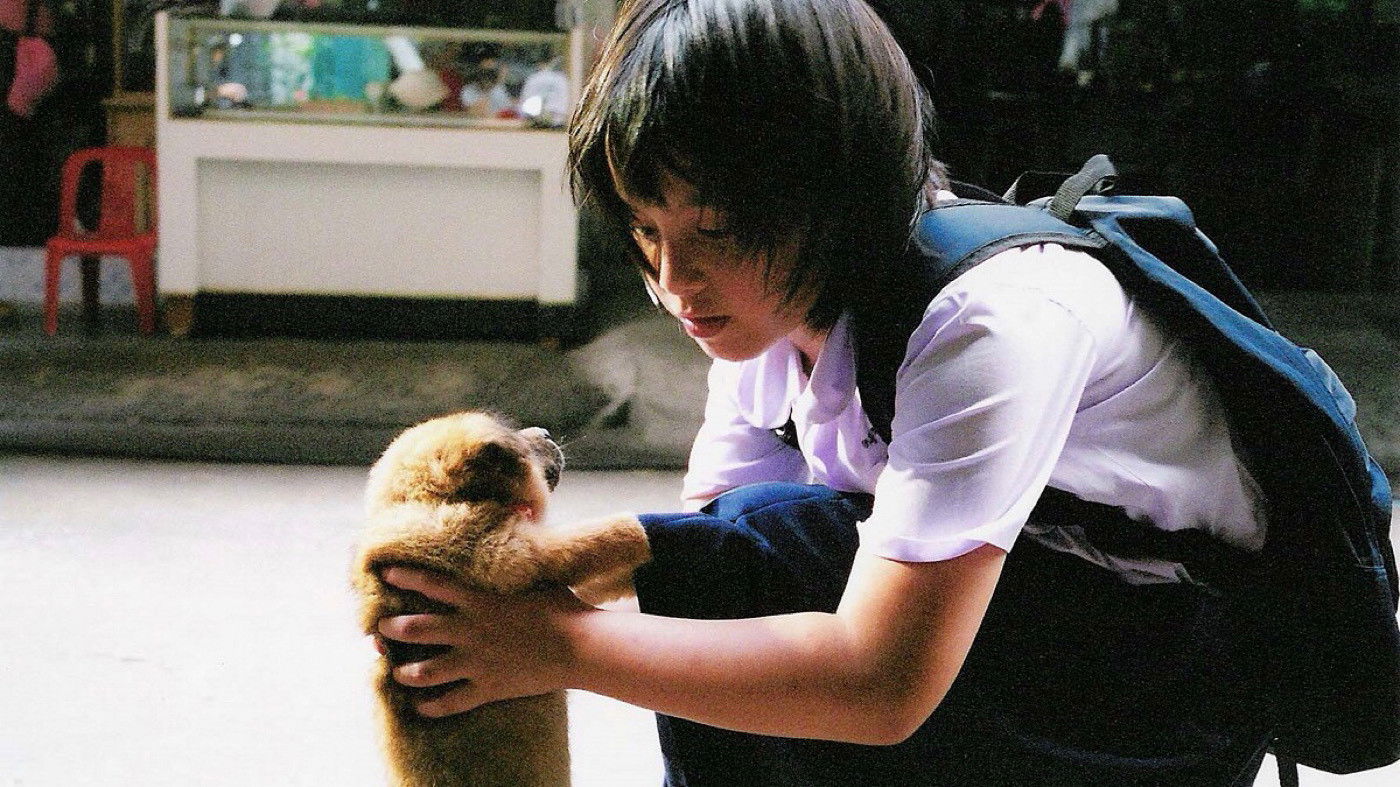 Banjong Sintanamongkolgul