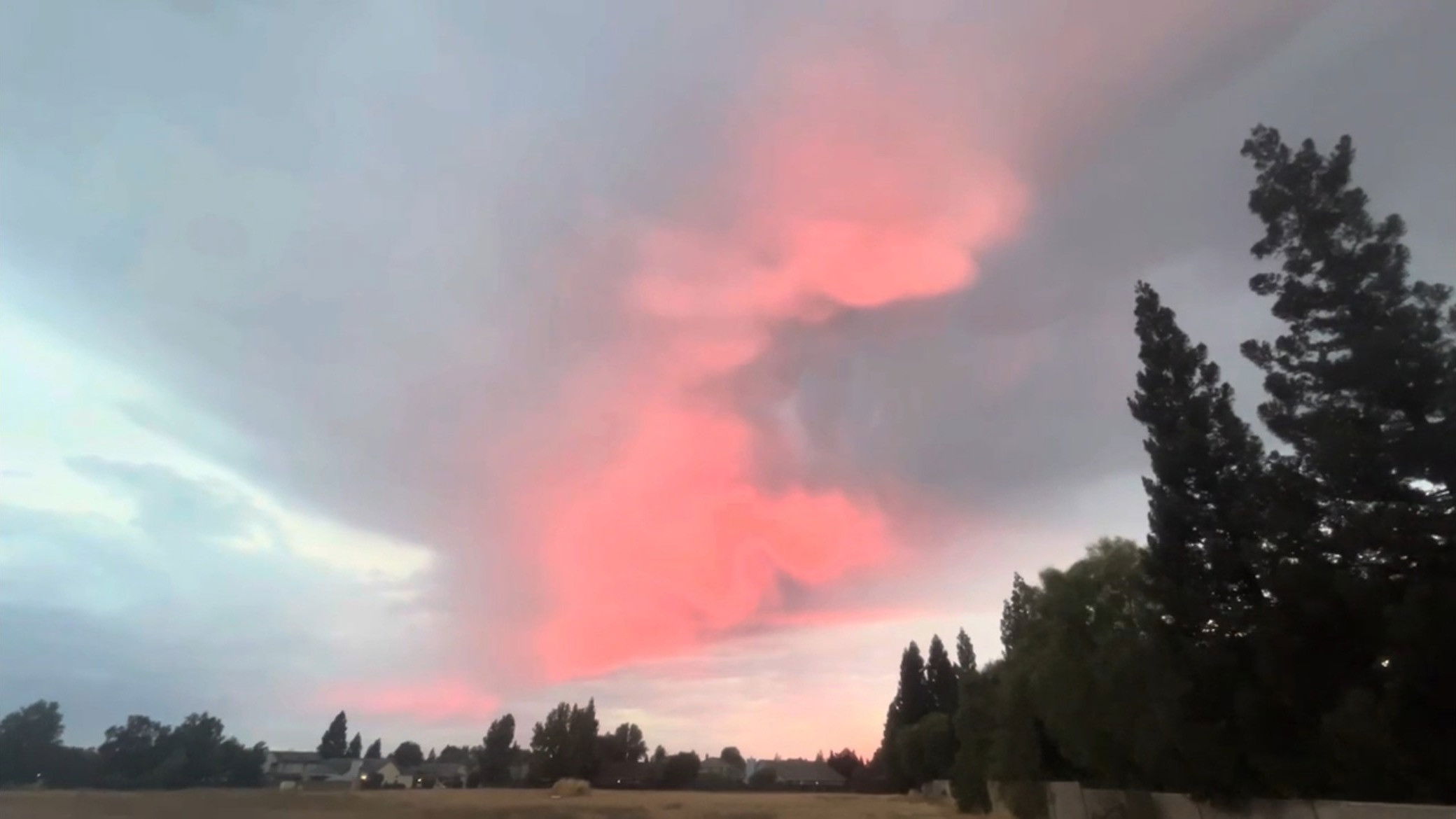 This Simple Beautiful World