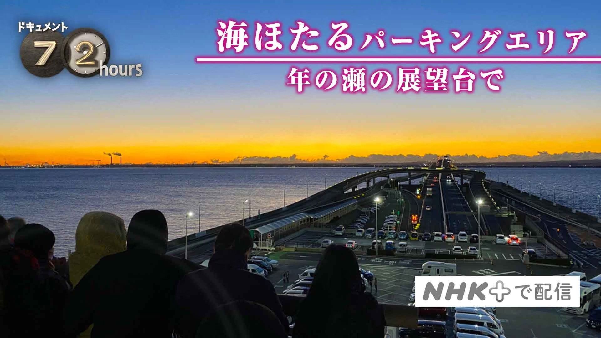 Umihotaru Parking Area: Year-End Viewpoint