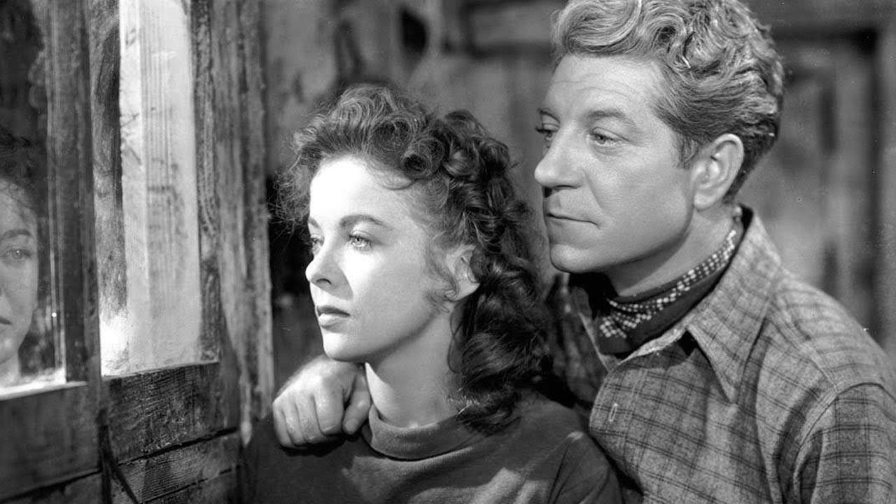 A szerelem kikötője