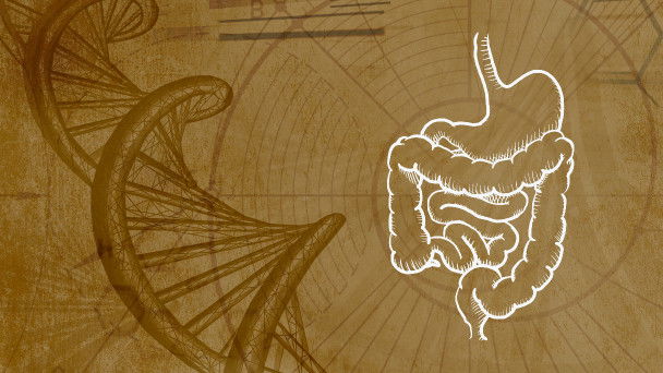 Immunity & the Microbiome