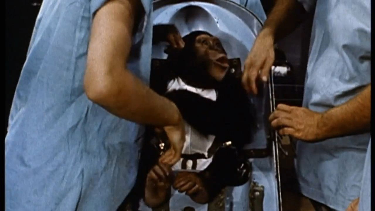 Ham: A Chimp into Space