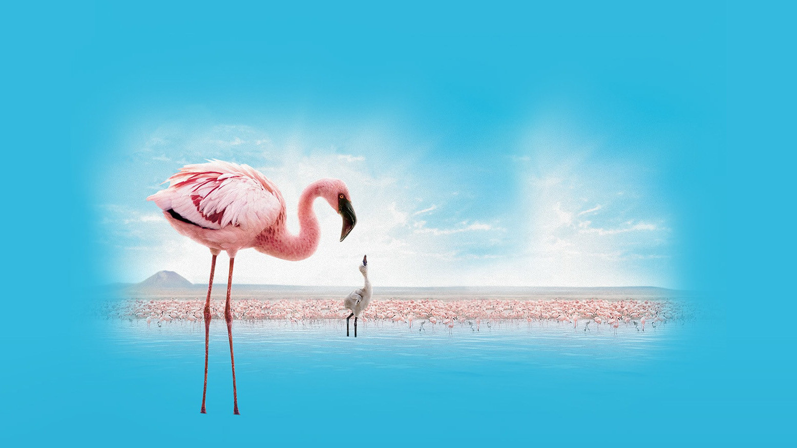The Crimson Wing Mystery of the Flamingos