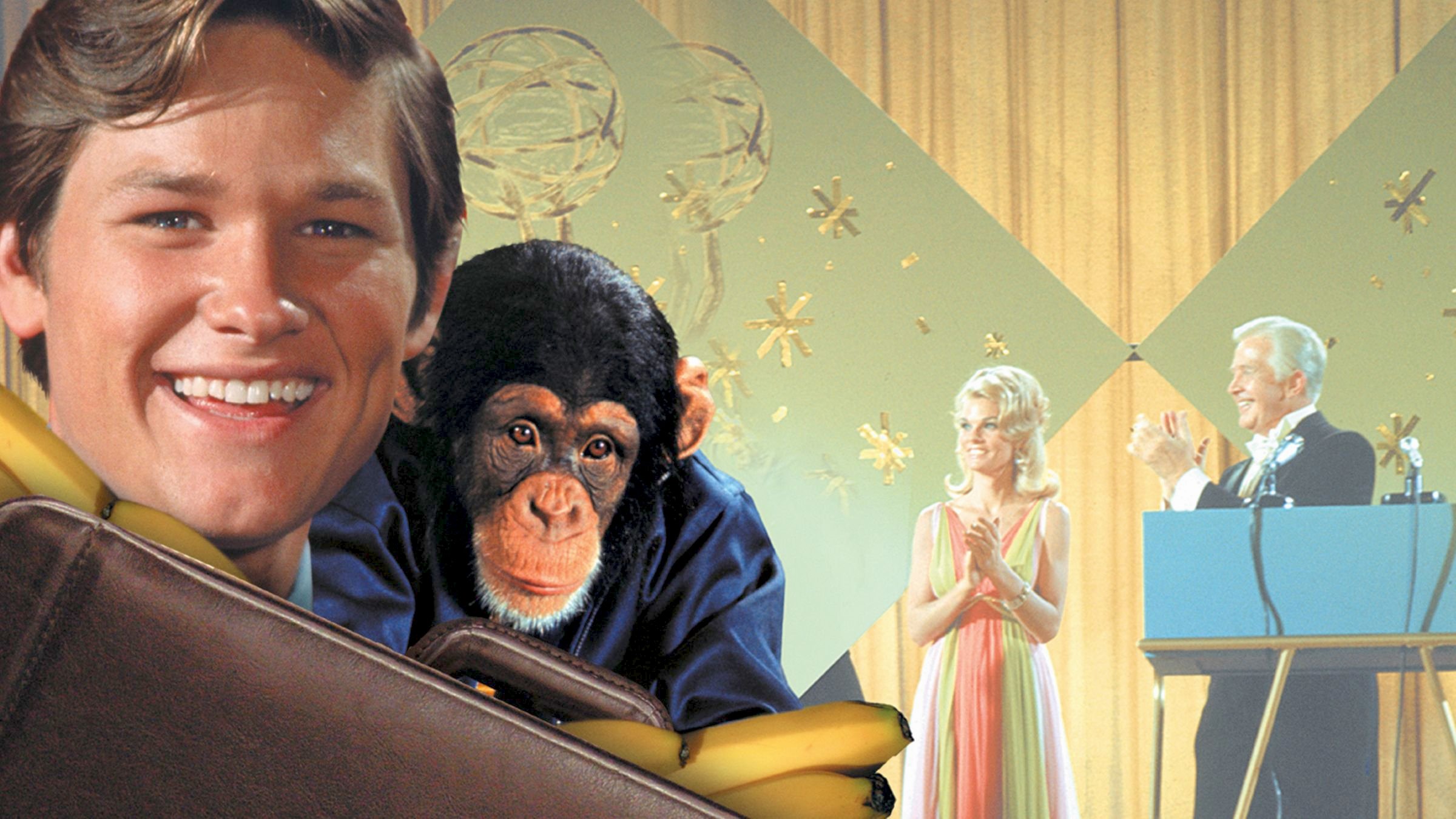 Mezítlábas lakótárs