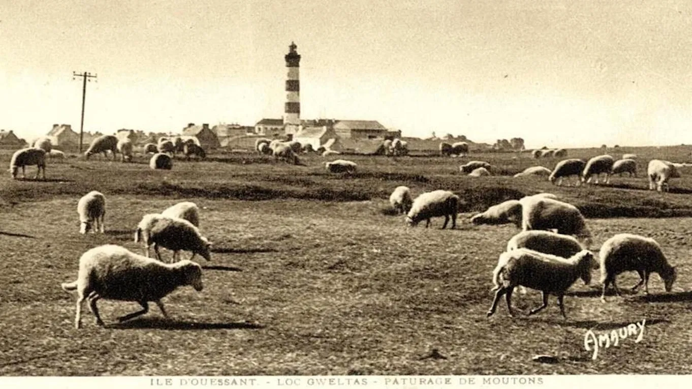 There was oil in Ouessant island