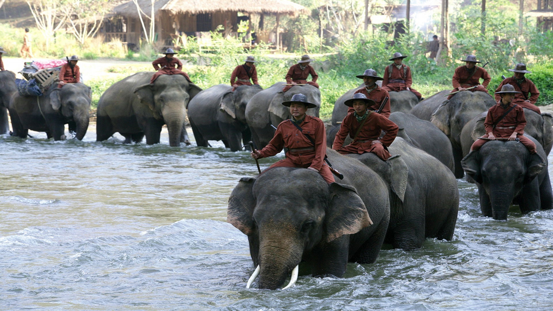 Sunny és az elefánt