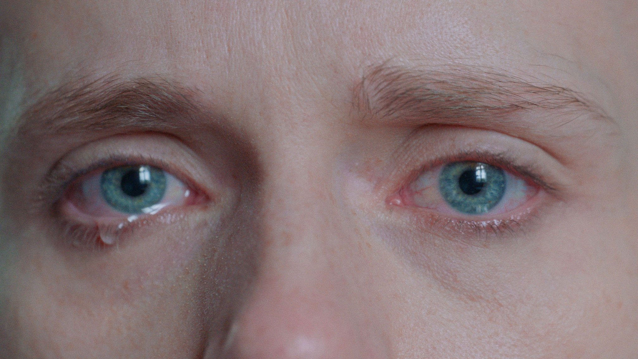 salt in our blood, in our sweat, in our tears