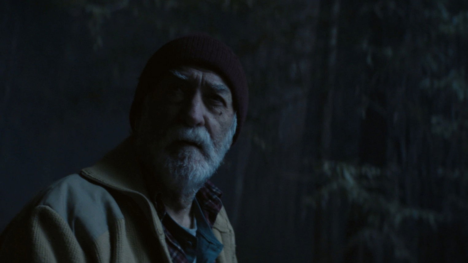 Where the pines lament