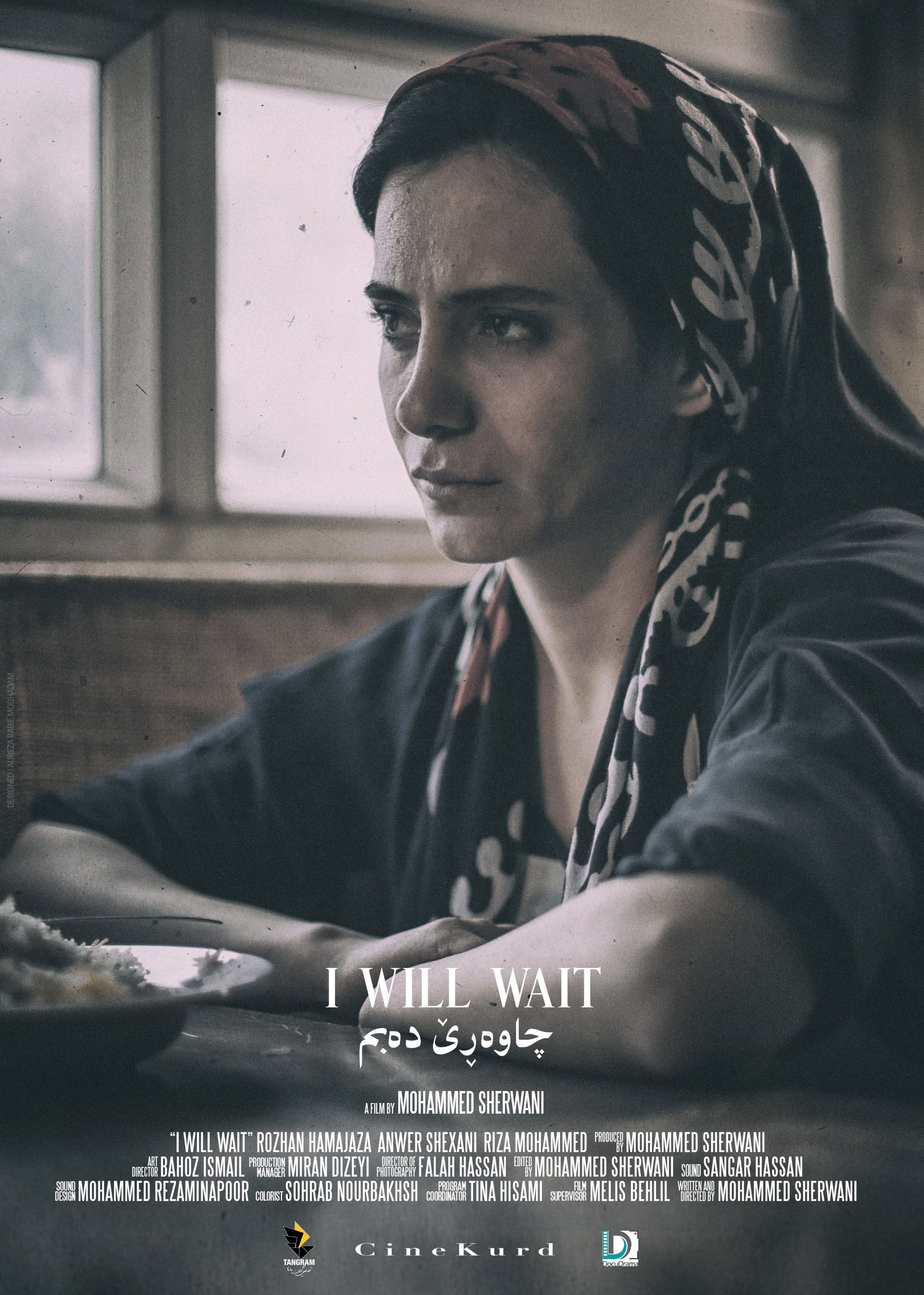 Alireza Rabie Moghadam