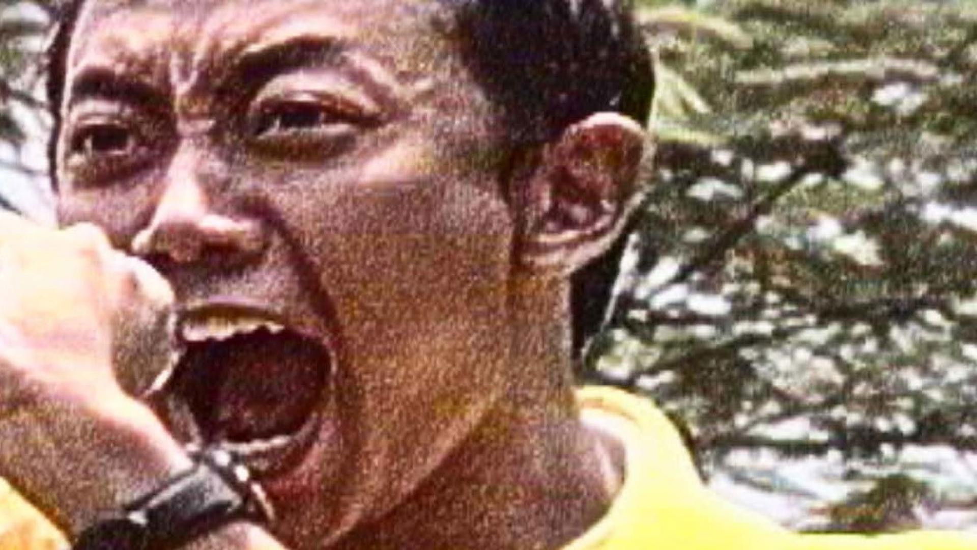 Kucing 9808: Chronicles of a (Former) Demonstrator