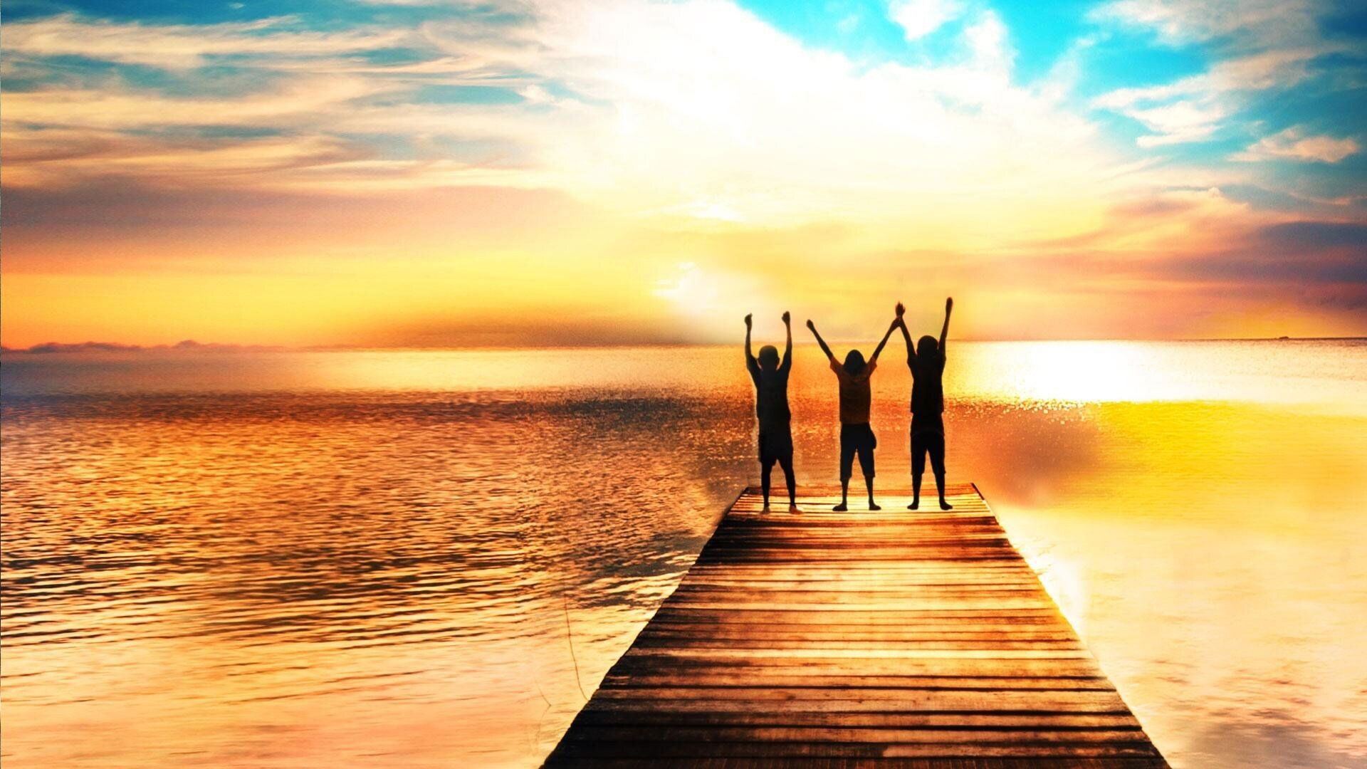 Orca: The Journey Home