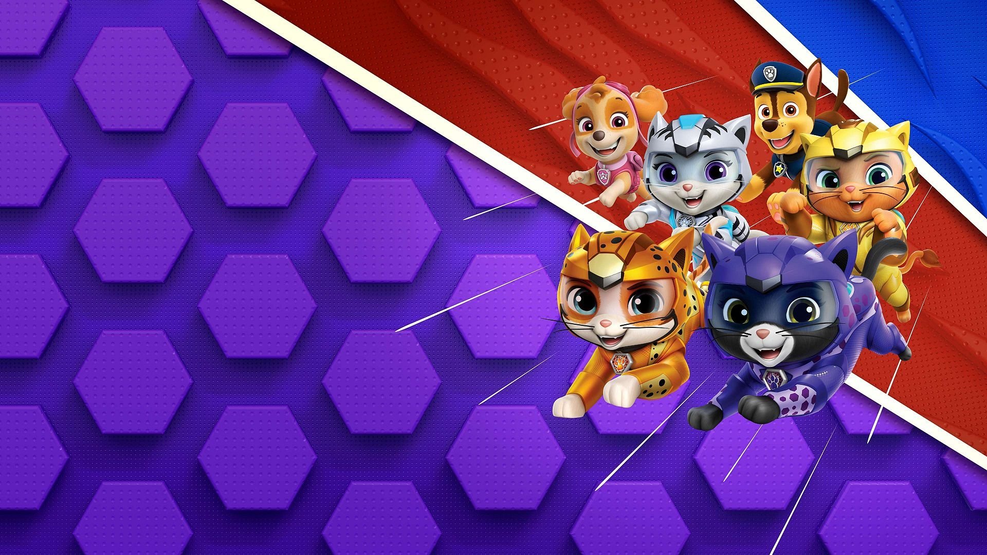 PAW Patrol: Cat Pack