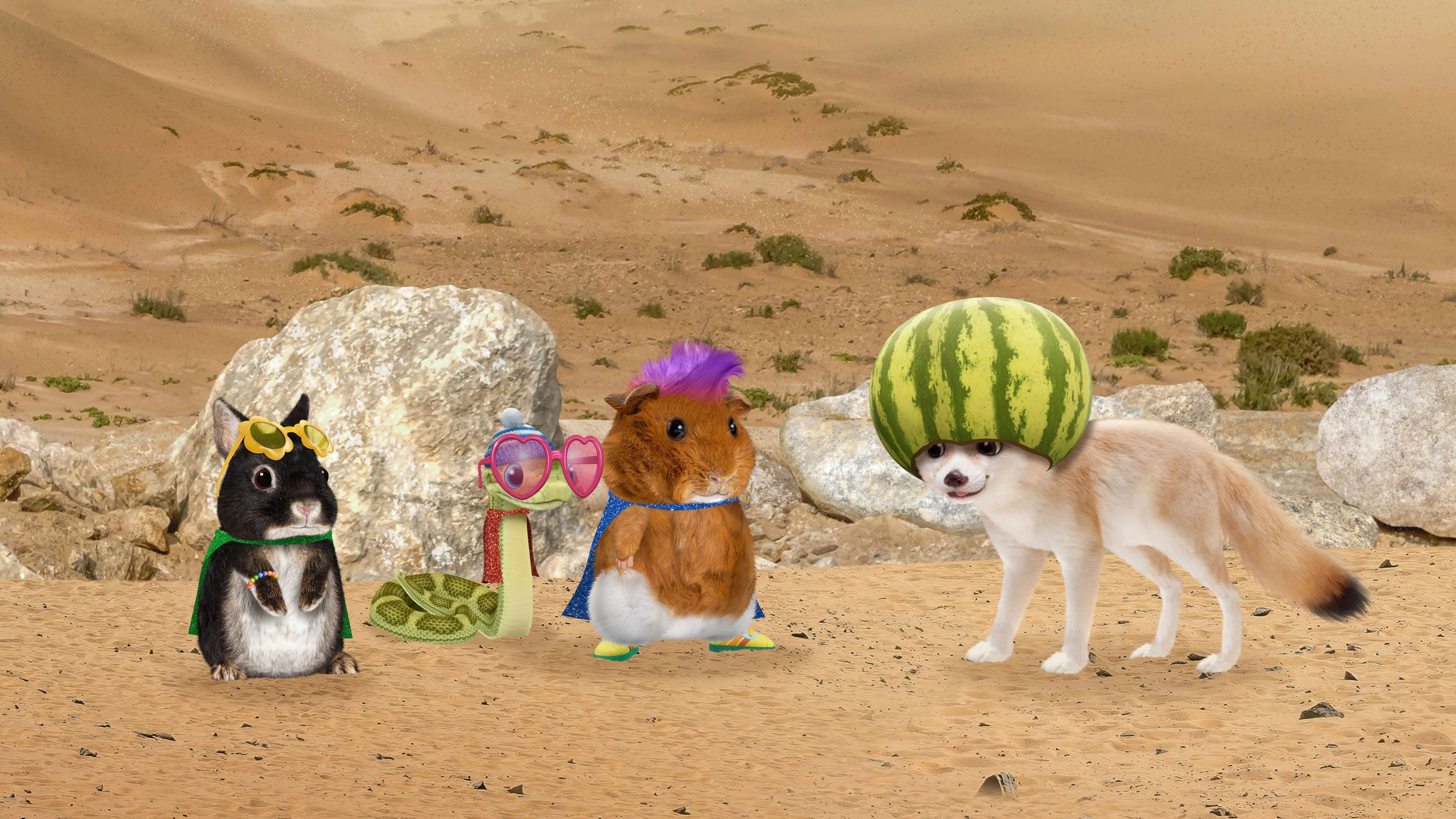 Save the Fennec Fox! / Save the Giant Tortoise!