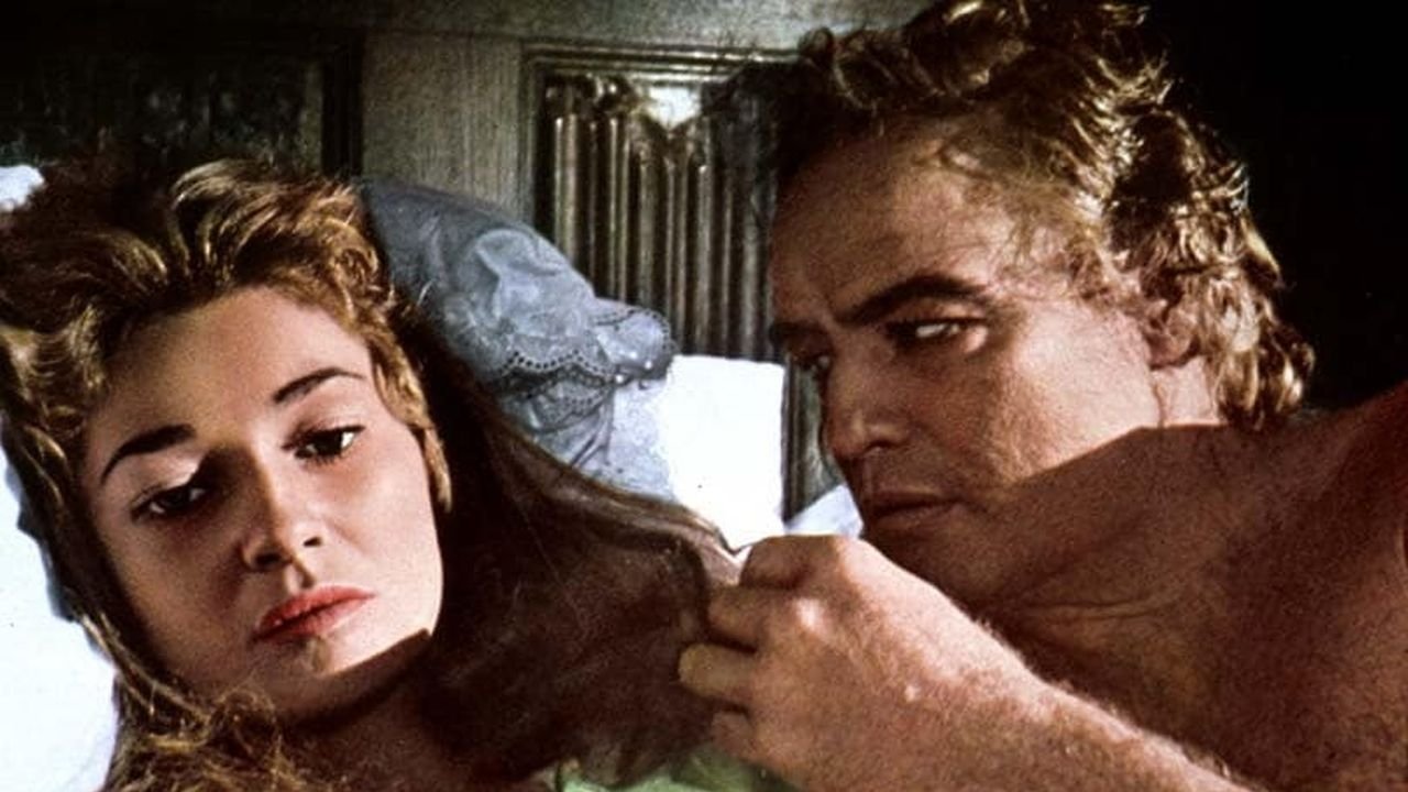 Éjszakai jövevények