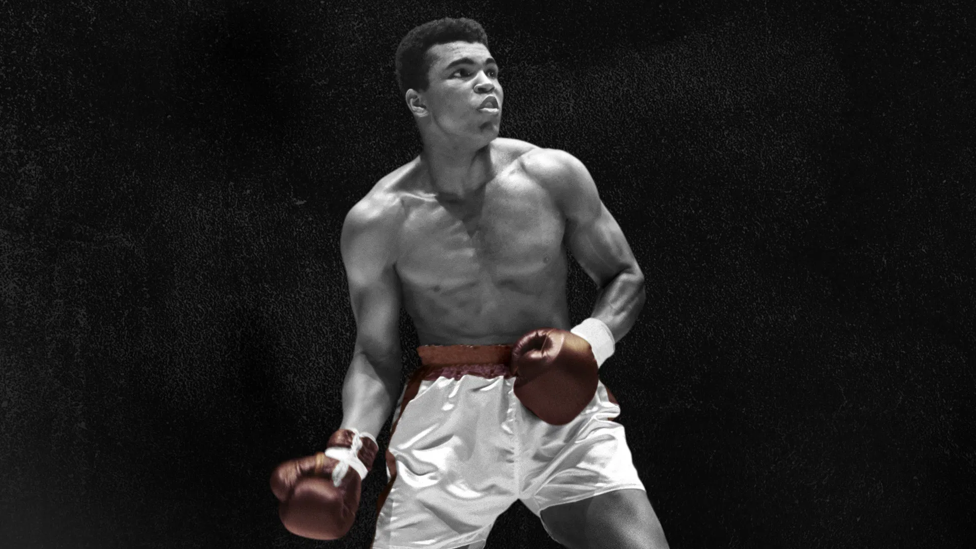 Mi a nevem: Muhammad Ali