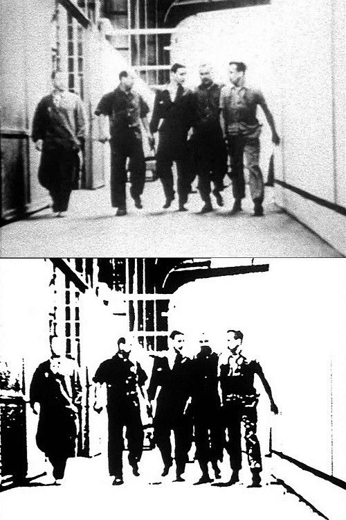 Siegfried A. Fruhauf