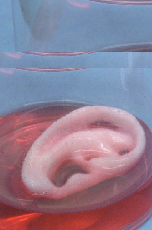 Ivan Ladislav Galeta