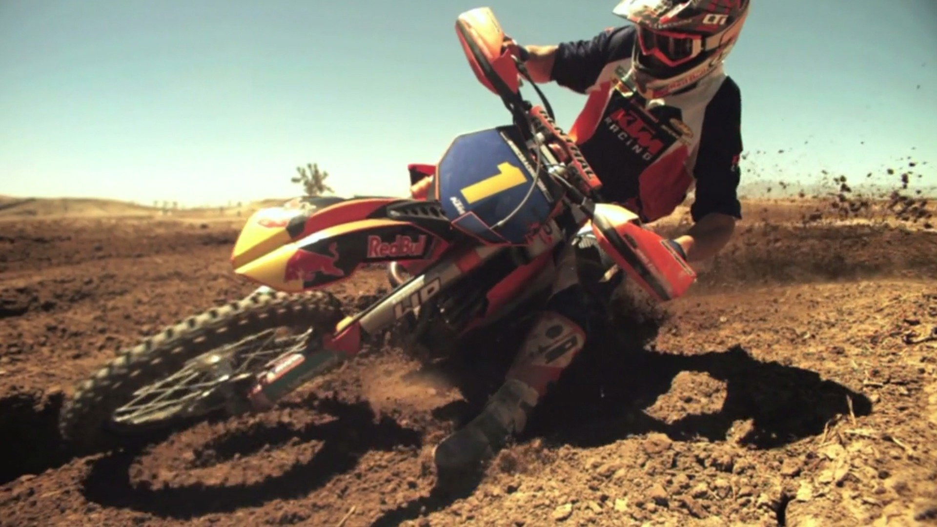 Caselli 66: Ride the Dream