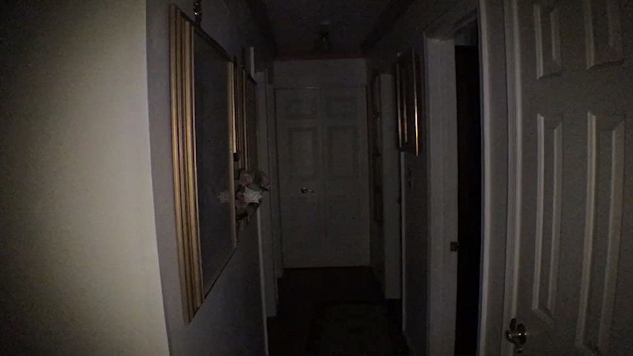 The Fear Footage 2