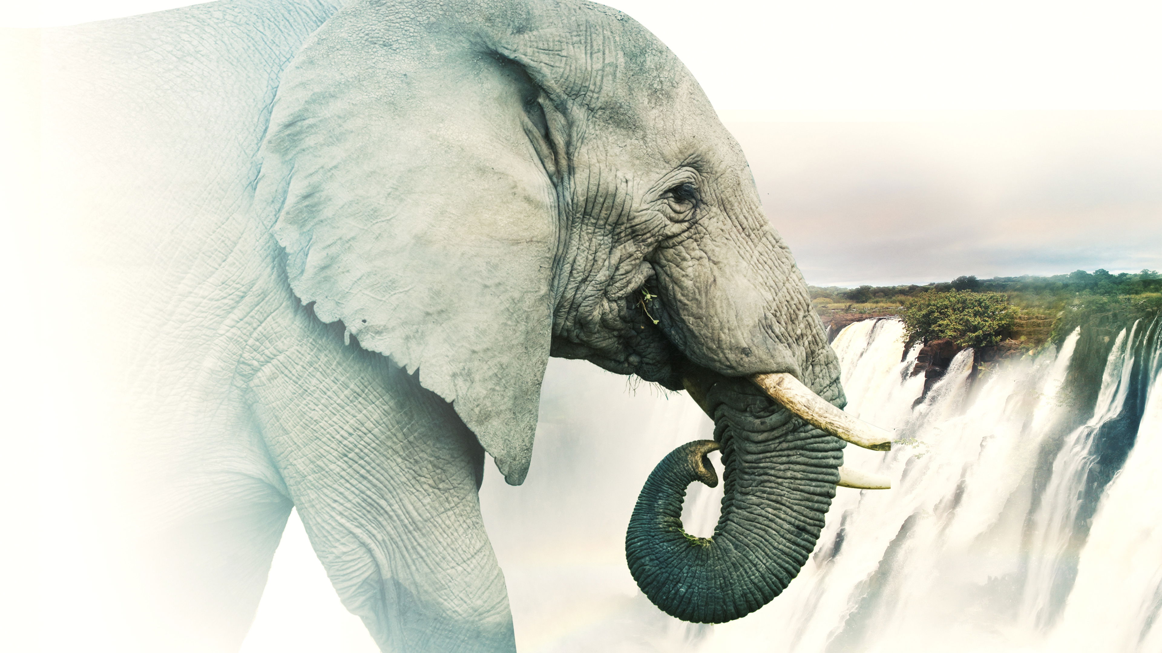 Viktória-vízesés: Afrika dübörgő csodája