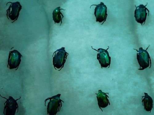 The hunger for mercy Part 2